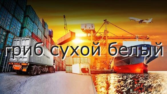 гриб сухой белый