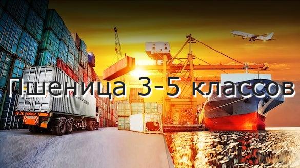 Пшеница 3-5 классов