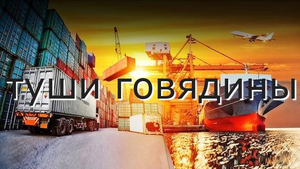 туши говядины